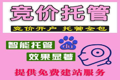 百度竞价广告投放技巧：从失败到成功的转变